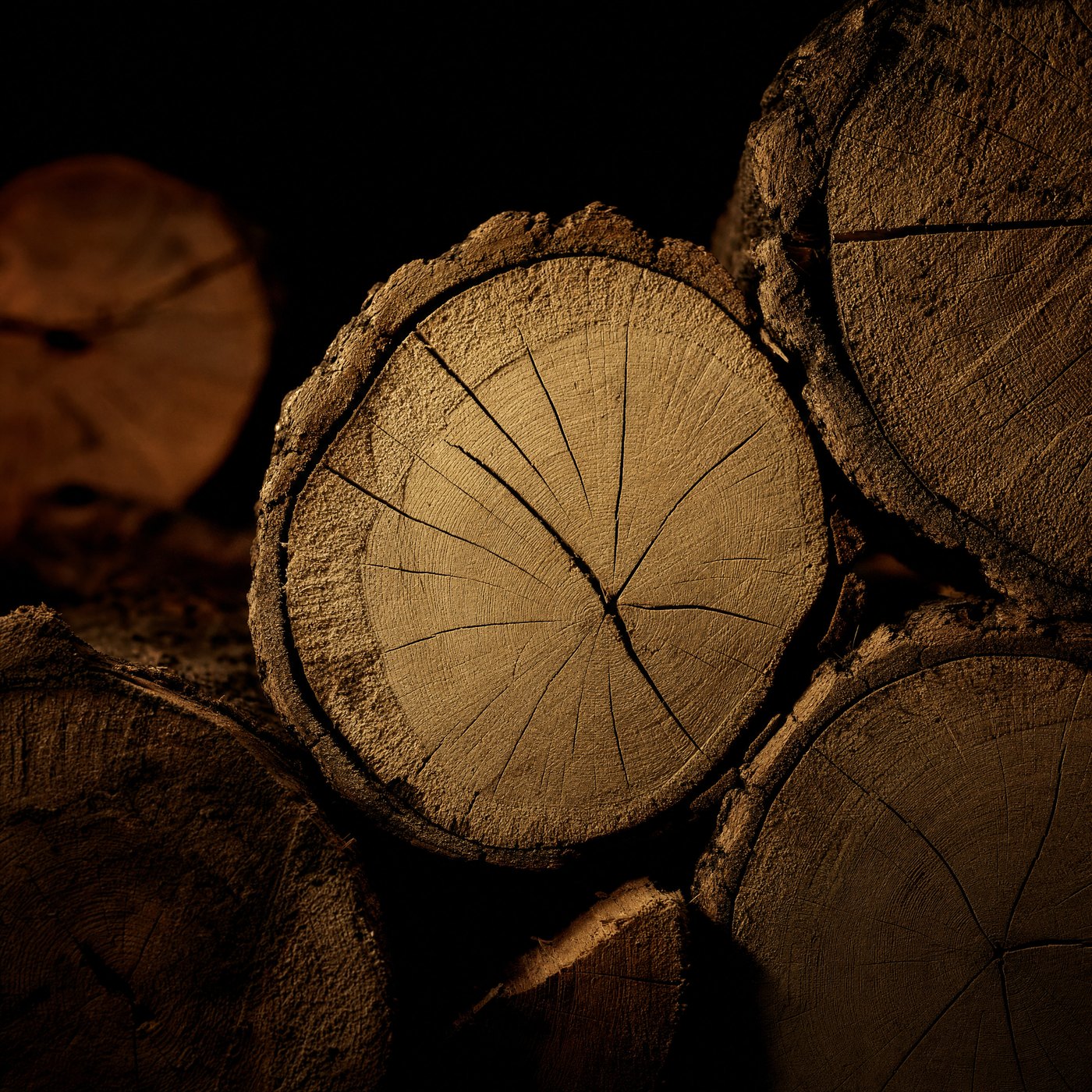 Close detail of stacked logs, showing growth rings and drying cracks across a sawn log end